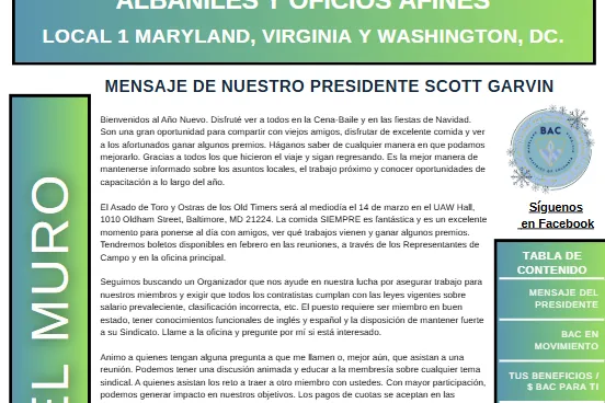 Bolíten de invierno 