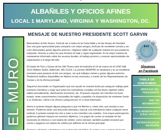 Bolíten de invierno 